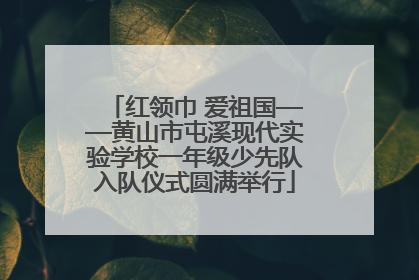 红领巾 爱祖国——黄山市屯溪现代实验学校一年级少先队入队仪式圆满举行