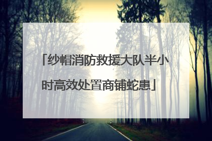 纱帽消防救援大队半小时高效处置商铺蛇患