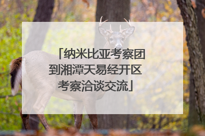纳米比亚考察团到湘潭天易经开区考察洽谈交流