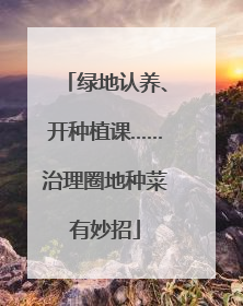 绿地认养、开种植课……治理圈地种菜有妙招