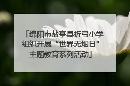 绵阳市盐亭县折弓小学组织开展“世界无烟日”主题教育系列活动