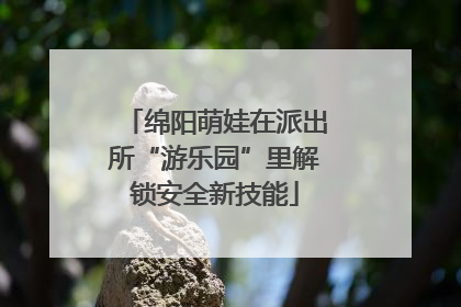 绵阳萌娃在派出所“游乐园”里解锁安全新技能