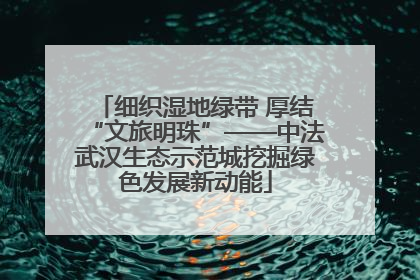 细织湿地绿带 厚结“文旅明珠”——中法武汉生态示范城挖掘绿色发展新动能