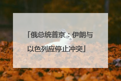 俄总统普京：伊朗与以色列应停止冲突