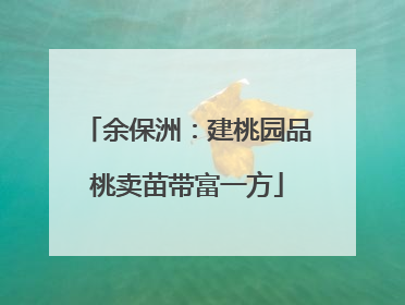 余保洲：建桃园品桃卖苗带富一方