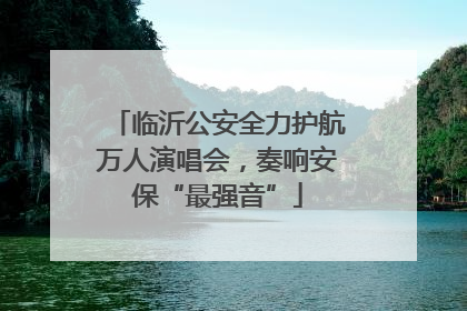 临沂公安全力护航万人演唱会，奏响安保“最强音”