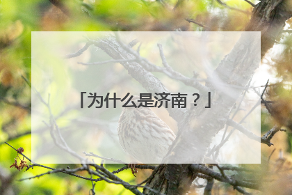 为什么是济南？