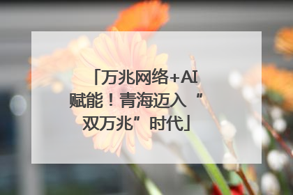 万兆网络+AI赋能！青海迈入“双万兆”时代
