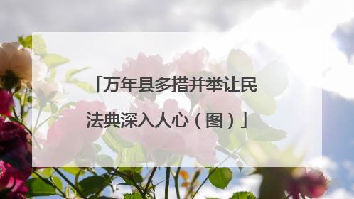 万年县多措并举让民法典深入人心（图）