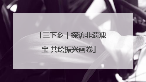 三下乡｜探访非遗瑰宝 共绘振兴画卷