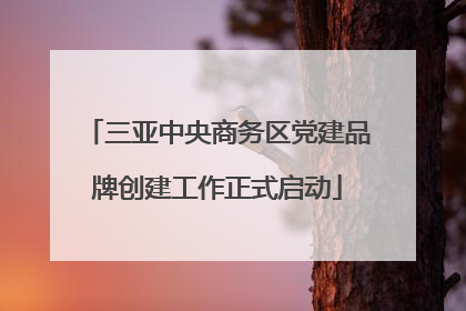 三亚中央商务区党建品牌创建工作正式启动