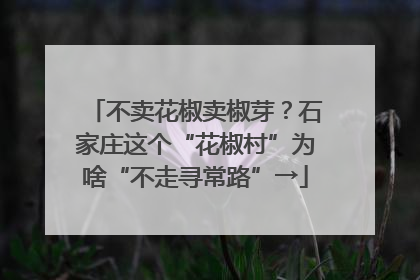 不卖花椒卖椒芽？石家庄这个“花椒村”为啥“不走寻常路”→