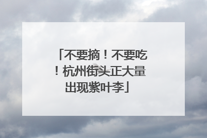 不要摘！不要吃！杭州街头正大量出现紫叶李