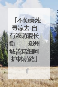 不须秉烛寻凉去 自有浓荫覆长街——郑州城管精细呵护林荫路
