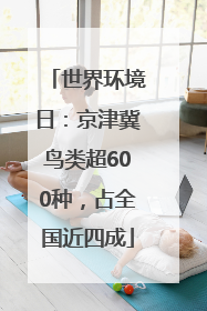 世界环境日：京津冀鸟类超600种，占全国近四成