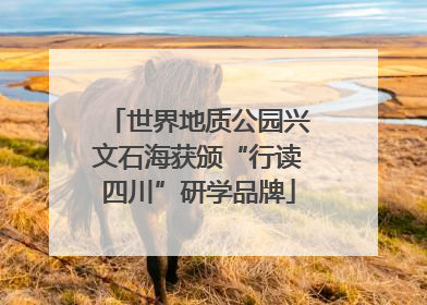 世界地质公园兴文石海获颁“行读四川”研学品牌
