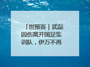 世预赛｜武磊因伤离开国足集训队，伊万不再补招顶替球员