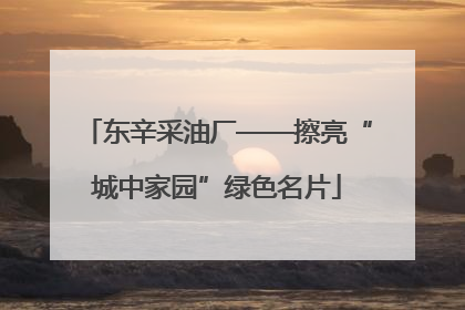 东辛采油厂——擦亮“城中家园”绿色名片