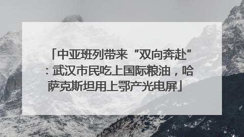 中亚班列带来“双向奔赴”：武汉市民吃上国际粮油，哈萨克斯坦用上鄂产光电屏