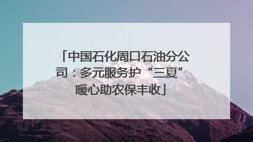 中国石化周口石油分公司：多元服务护“三夏” 暖心助农保丰收