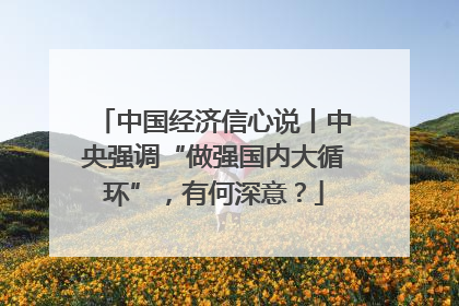 中国经济信心说丨中央强调“做强国内大循环”，有何深意？