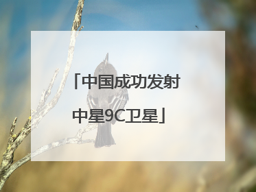 中国成功发射中星9C卫星