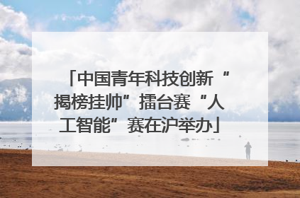 中国青年科技创新“揭榜挂帅”擂台赛“人工智能”赛在沪举办