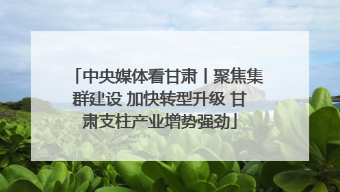 中央媒体看甘肃丨聚焦集群建设 加快转型升级 甘肃支柱产业增势强劲