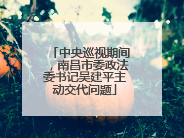中央巡视期间，南昌市委政法委书记吴建平主动交代问题