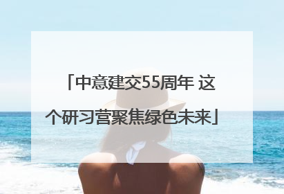 中意建交55周年 这个研习营聚焦绿色未来