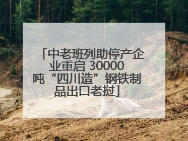 中老班列助停产企业重启 30000吨“四川造”钢铁制品出口老挝