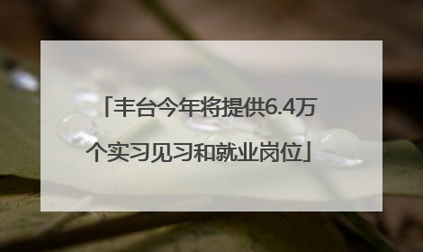 丰台今年将提供6.4万个实习见习和就业岗位