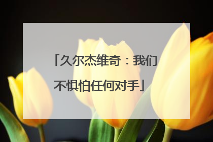久尔杰维奇：我们不惧怕任何对手