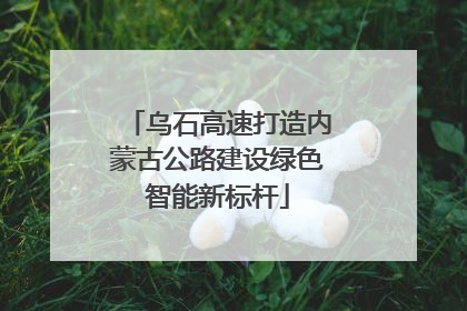 乌石高速打造内蒙古公路建设绿色智能新标杆