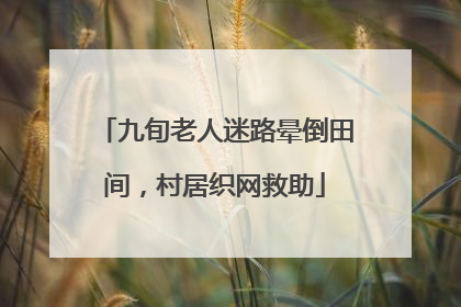 九旬老人迷路晕倒田间，村居织网救助