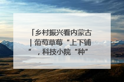 乡村振兴看内蒙古｜葡萄草莓“上下铺”，科技小院“种”出三倍效益