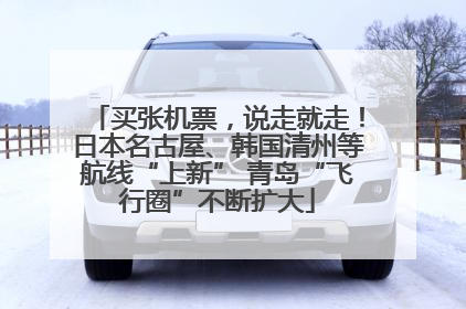 买张机票，说走就走！日本名古屋、韩国清州等航线“上新” 青岛“飞行圈”不断扩大