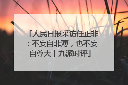 人民日报采访任正非：不妄自菲薄，也不妄自尊大丨九派时评