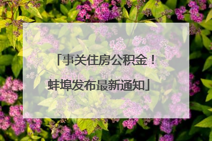 事关住房公积金！蚌埠发布最新通知