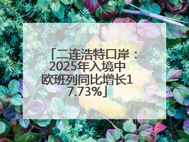 二连浩特口岸：2025年入境中欧班列同比增长17.73%