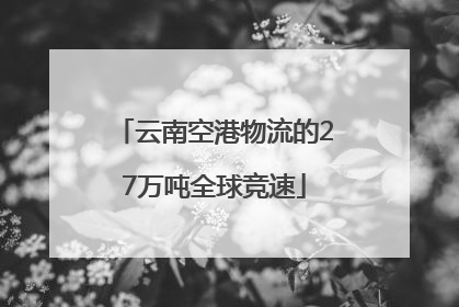 云南空港物流的27万吨全球竞速