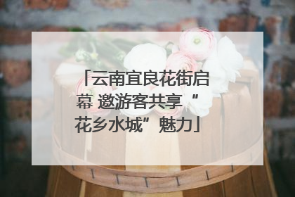 云南宜良花街启幕 邀游客共享“花乡水城”魅力