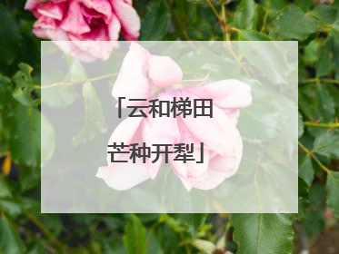 云和梯田 芒种开犁