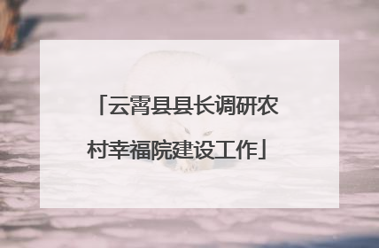 云霄县县长调研农村幸福院建设工作