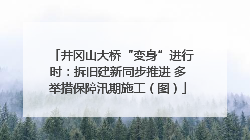 井冈山大桥“变身”进行时：拆旧建新同步推进 多举措保障汛期施工（图）
