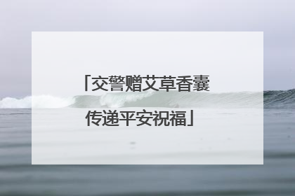 交警赠艾草香囊 传递平安祝福
