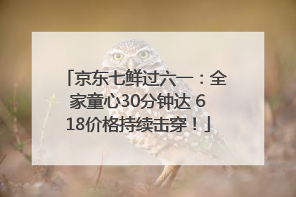 京东七鲜过六一：全家童心30分钟达 618价格持续击穿！