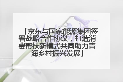 京东与国家能源集团签署战略合作协议，打造消费帮扶新模式共同助力青海乡村振兴发展