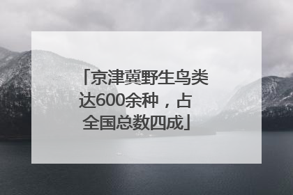京津冀野生鸟类达600余种，占全国总数四成