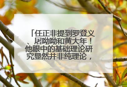 任正非提到罗登义、屠呦呦和黄大年！他眼中的基础理论研究显然并非纯理论，为什么？